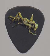 Pick : Locust