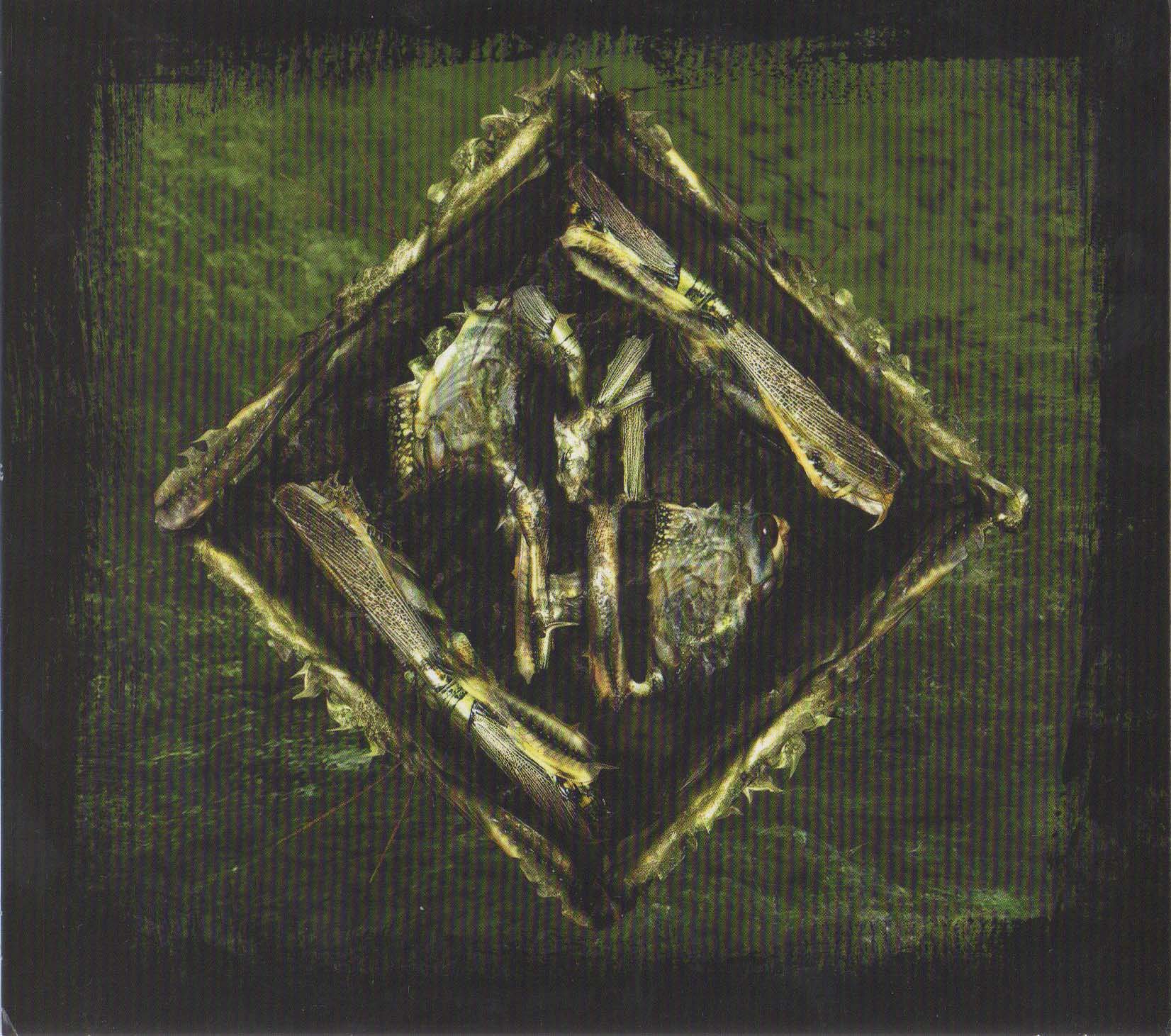 Unto The Locust Inlay