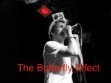 Butterfly Effect