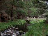 army_bridge